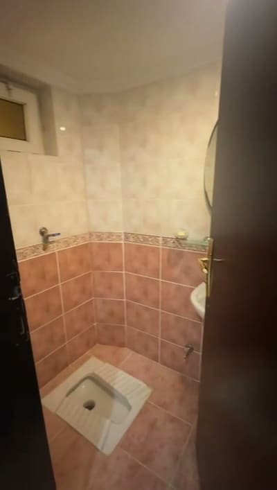 Alaturka klozet, pembe fayans, göbek hizasında desenli bordür.